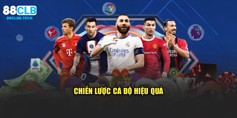 Chiến lược cá độ hiệu quả