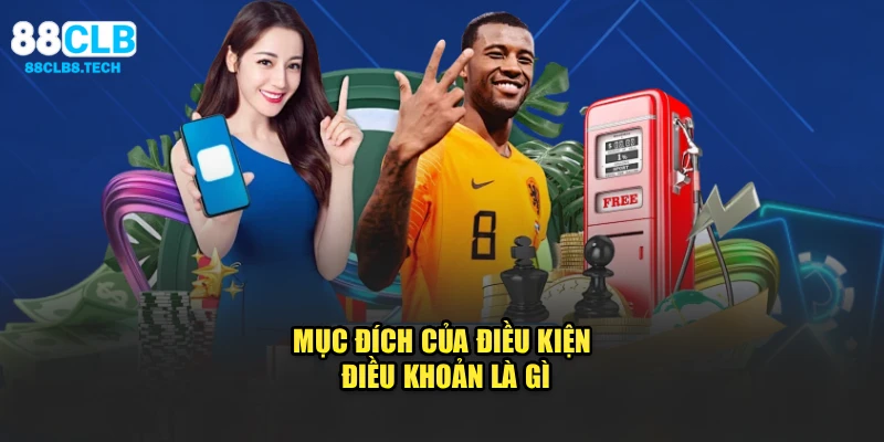 Mục đích của điều kiện điều khoản là gì